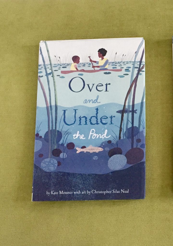 Over and Under the Pond - Montessori at Home, Activities, Books, Blog