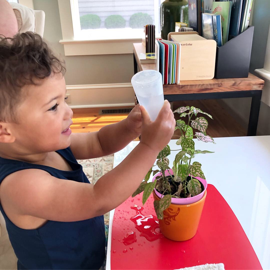 Wilton Mini Squeeze Bottles - Montessori at Home, Activities, Books, Blog